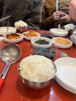 그린하우스 3