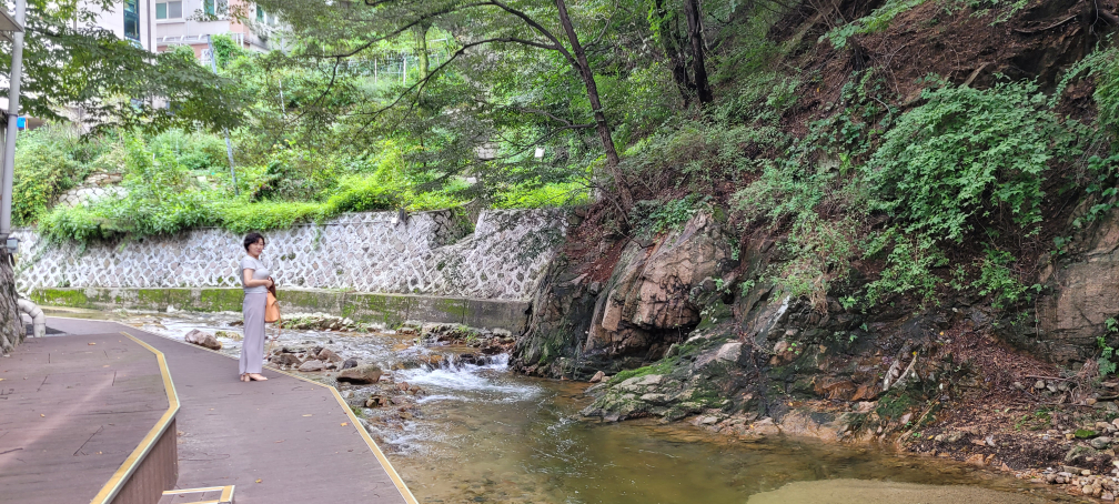 Jejumyeonjang (제주면장) 1