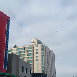 던킨 제주탑동점 사진 2