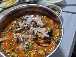Dongbaekhoetjip 6