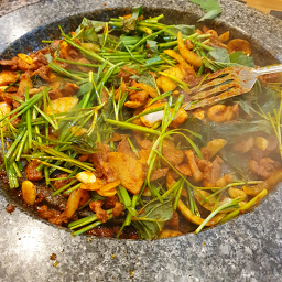 Gwangjusaengoridolguijeonmun 4