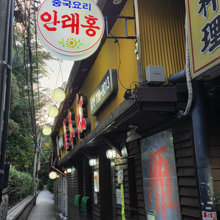 안래홍 대표 사진