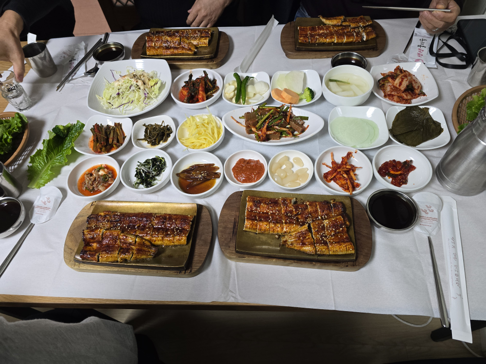 금강장어 2