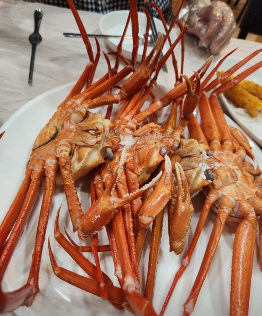 속초붉은대게 사진 5