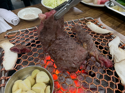 우성 5