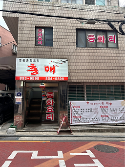 홍매 사진 2
