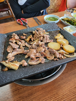 Hwanggeumori (황금오리) 1