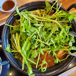 등촌샤브샤브 1