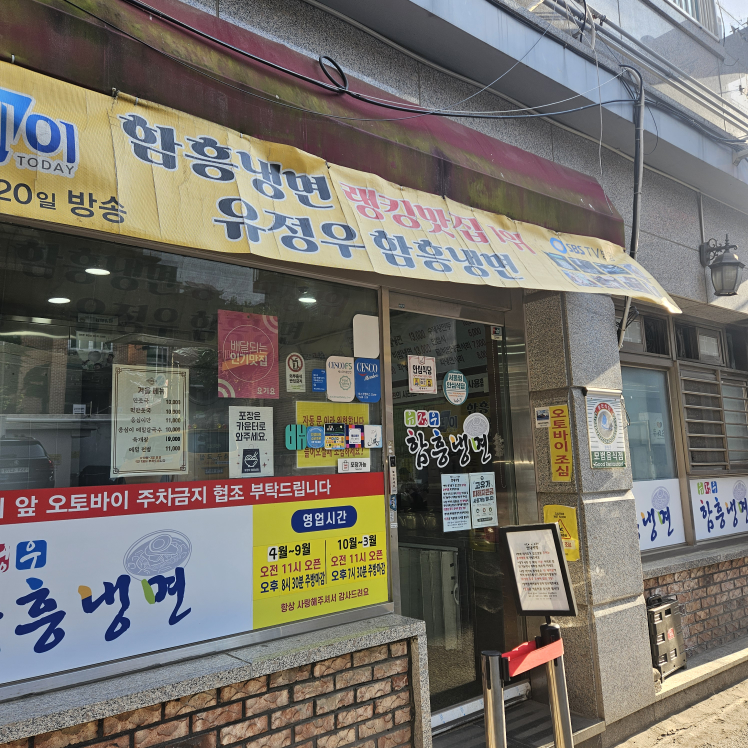 Hamheungnaengmyeon (함흥냉면) 2