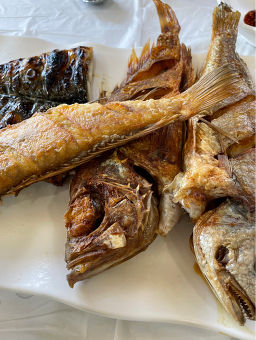 뜰채 사진 5