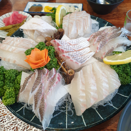 Atti chamchichobap (아띠 참치초밥) 3