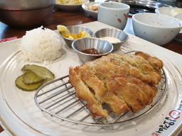 조가네갑오징어 5