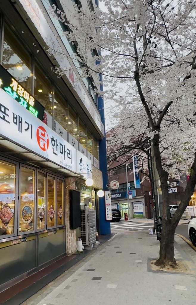 진또배기 사진 3