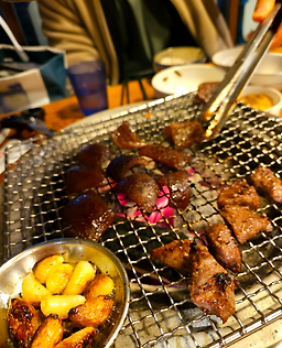 서울갈매기 사진 2
