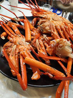 게섯거라무한리필 7