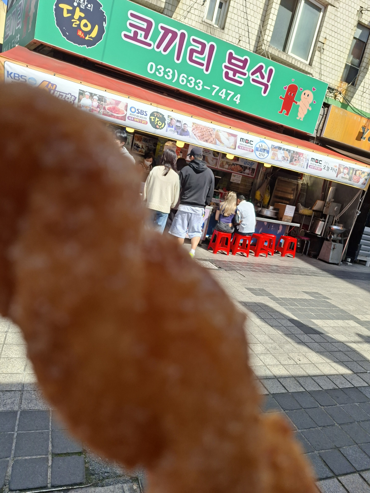 코끼리분식 5