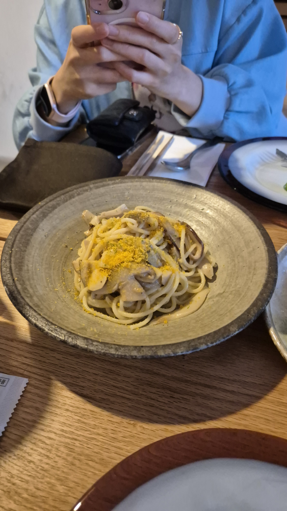 비노야코스모스 사진 7