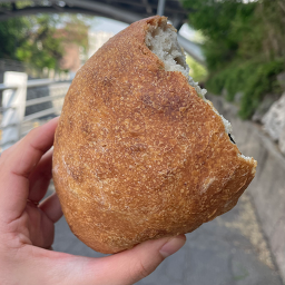 오늘 사진 5