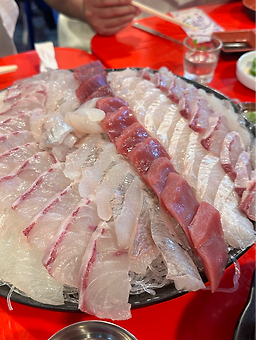 보물섬 사진 6