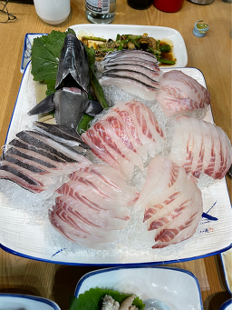 어군 사진 5
