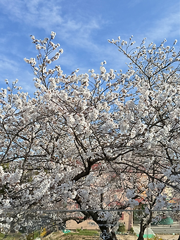 Ineoriteu (이너리트) 3