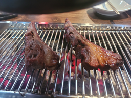 태양부양꼬치 사진