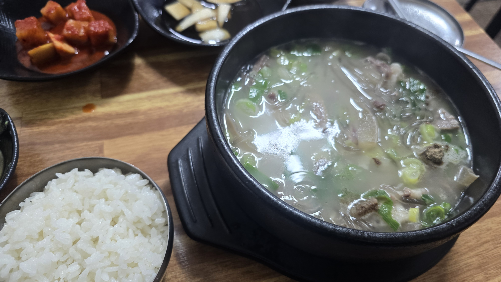 소머리 4