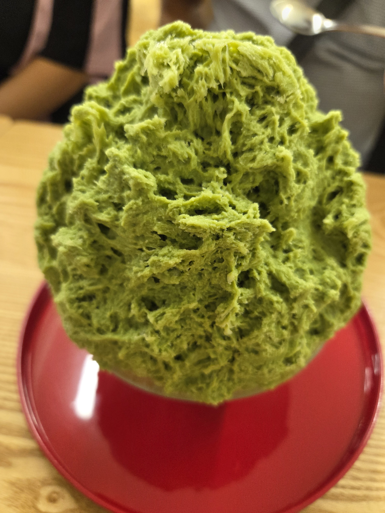 부빙 사진 3
