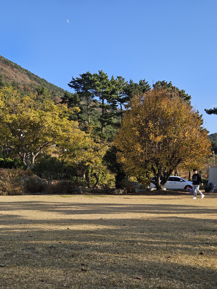 오송웨이브