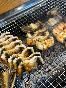 Gongganjangeo (공간장어) 2