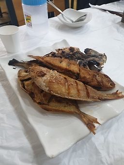 뜰채 사진 3