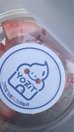 요지트 4