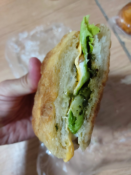 빵나무 사진 8