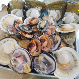 천지횟집 5