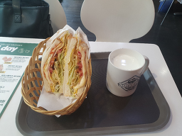 샌드데이 대표 사진