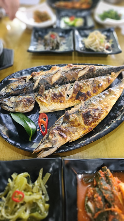 단풍나무 사진 7