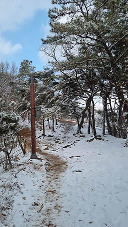아차산손두부 5