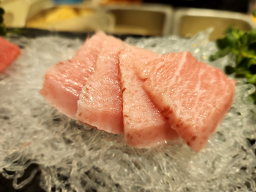 해양참치 사진 8