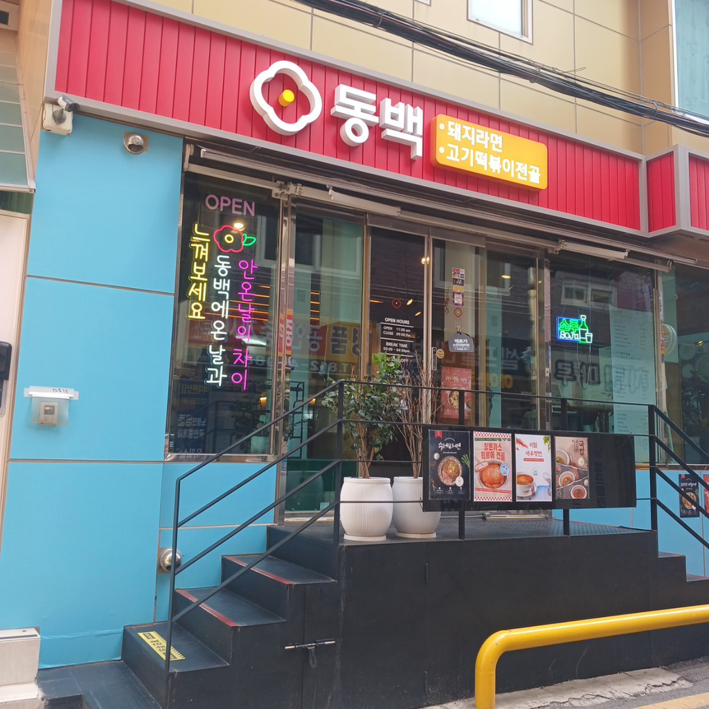 동백 사진 6