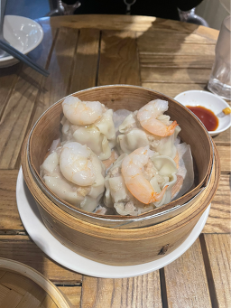 핑퐁 사진 2