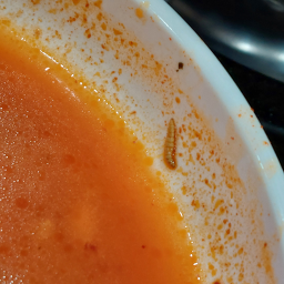 돌순네부대찌개 1