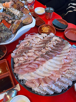 보물섬 사진 5