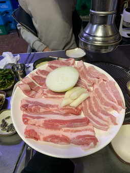 공원갈매기 2
