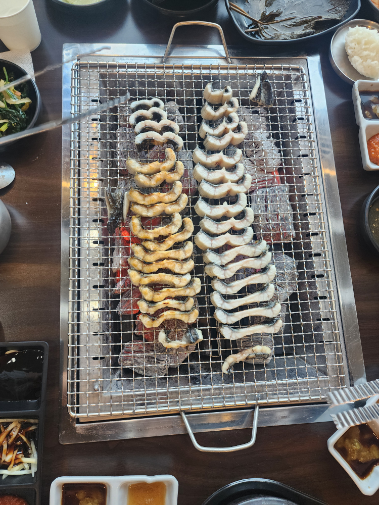 Yuiljangeo (유일장어) 1