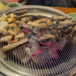 정가네오골계선생 5