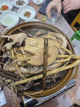 보쌈해오리 5
