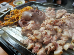 누렁소&도새기 사진 2