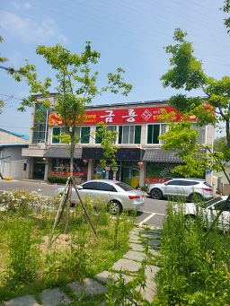 금룡 5