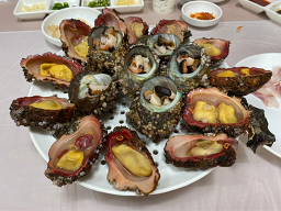 스쿠버회해물촌 6