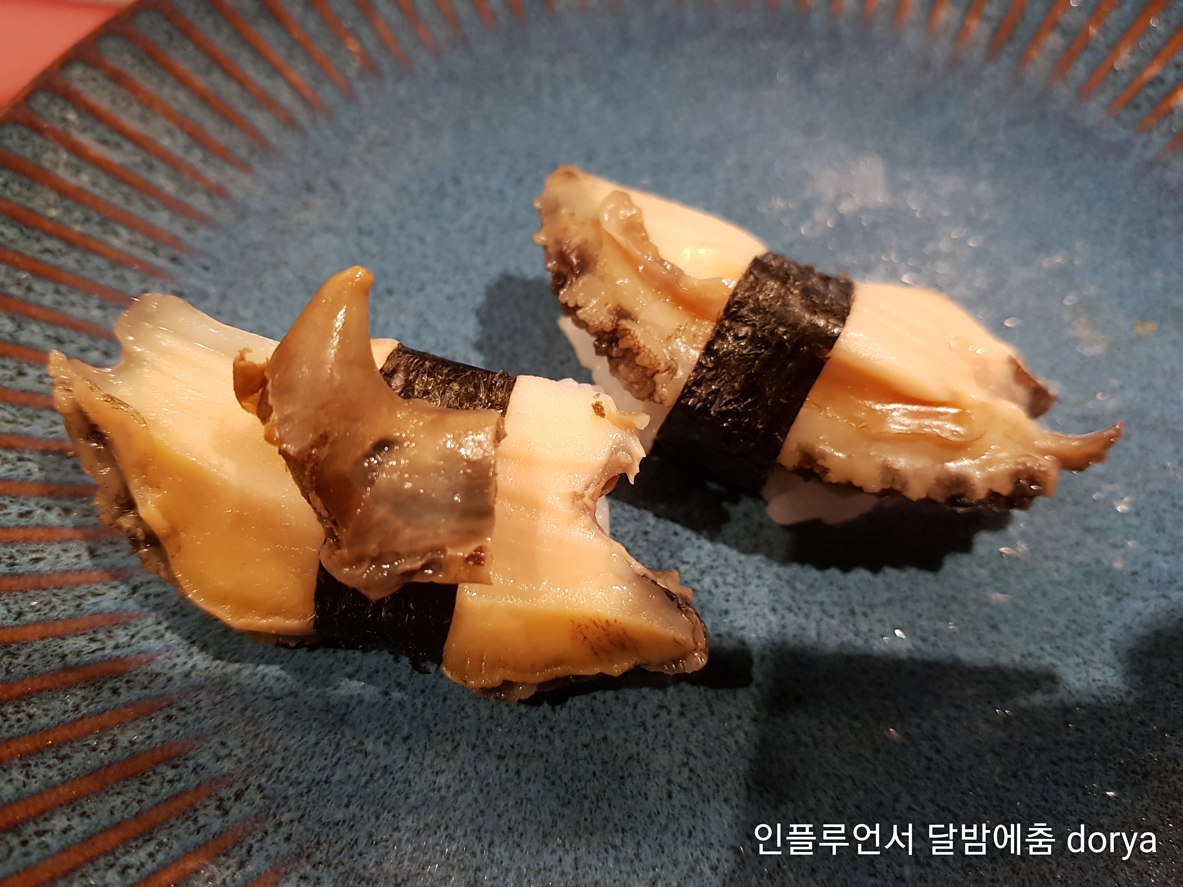 정참치 사진 4